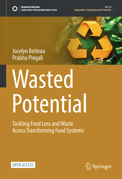 Sampul Wasted Potential
