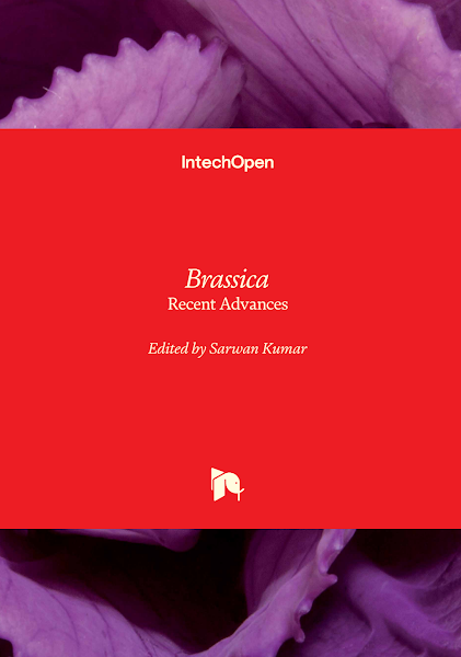 Sampul Brassica