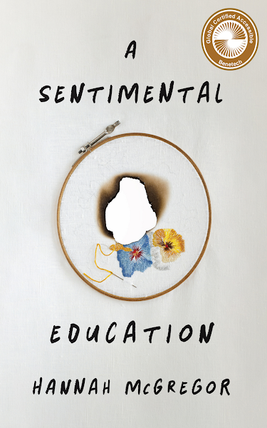 Sampul A Sentimental Education